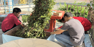 ปรับภูมิทัศน์สำนักงาน