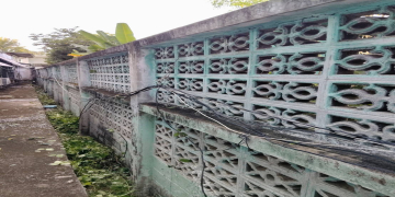 ฝ่ายอาคารสถานที่ตัดแต่งกิ่งไม้