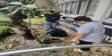 ปลูกต้นไม้ปรับปรุงภูมิทัศน์ 