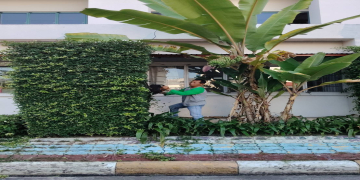 ปรับปรุงภูมิทัศน์